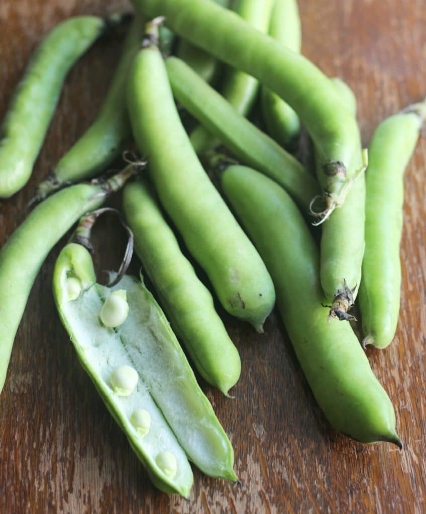 broad beans | Natural Kitchen Adventures