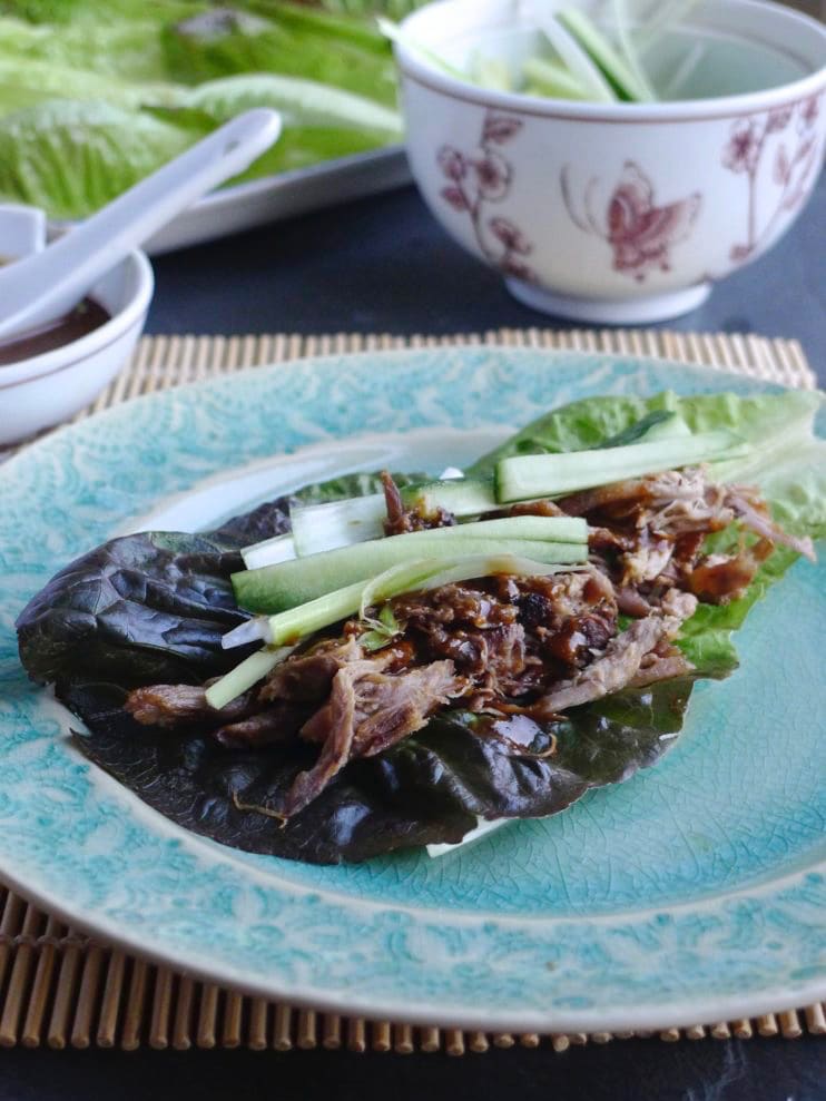 Gluten Free Hoisin Sauce Duck - 1